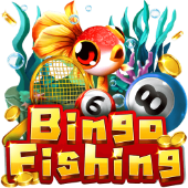 Bingo Fishing on Spin Time