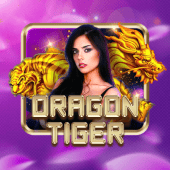 Dragon Tiger live on Spin Time