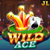 Wild Ace on Spin Time